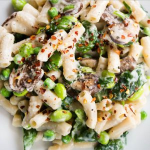 Vegan for One 6 Day Program